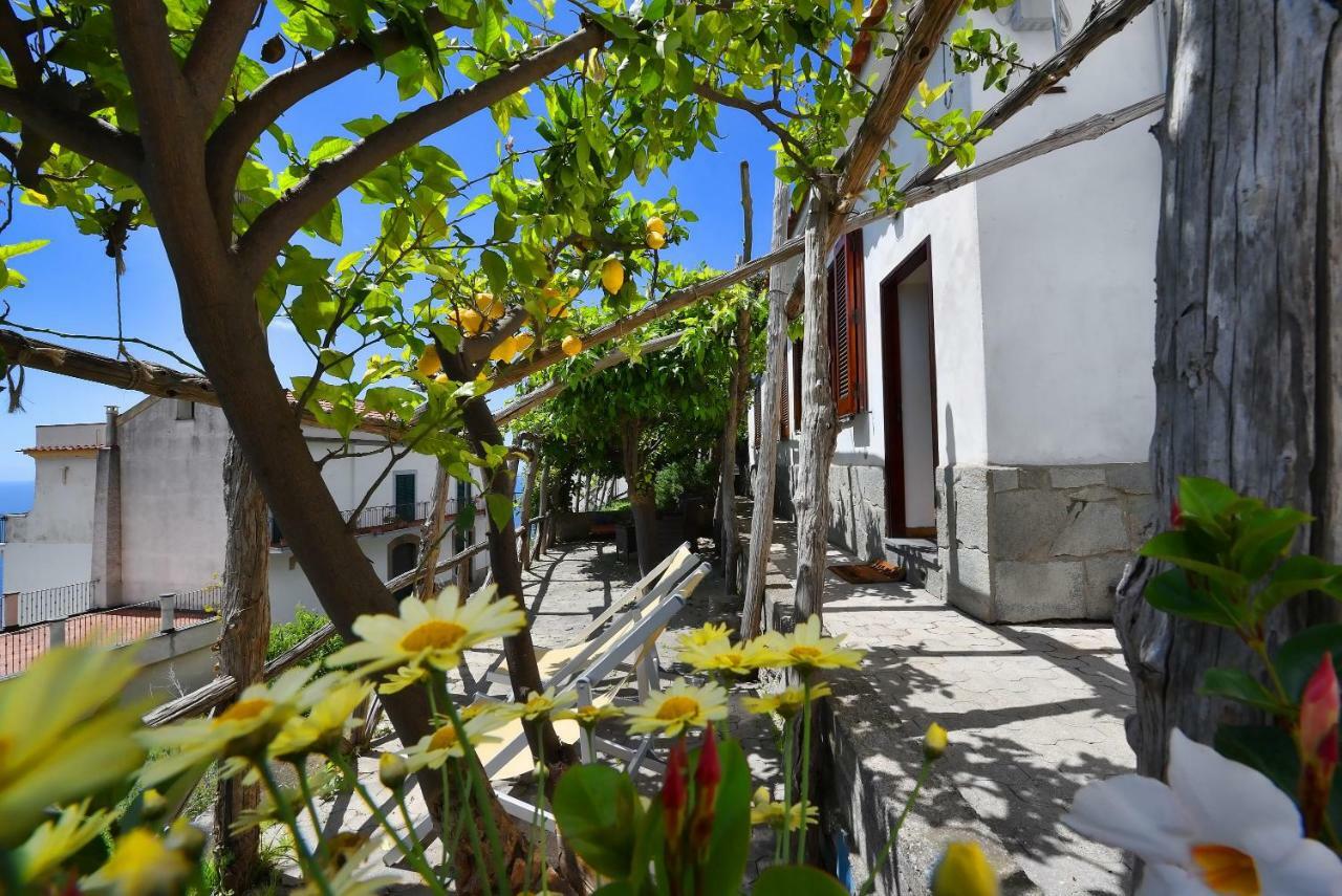 Villa Dama Di Cuori à Conca dei Marini Extérieur photo